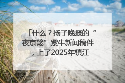 什么？扬子晚报的“夜京畿”紫牛新闻稿件，上了2025年镇江中考模拟卷！
