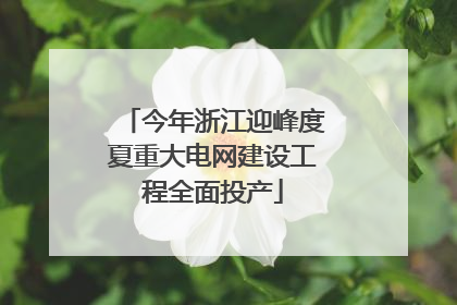 今年浙江迎峰度夏重大电网建设工程全面投产