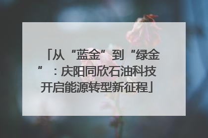 从“蓝金”到“绿金”：庆阳同欣石油科技开启能源转型新征程