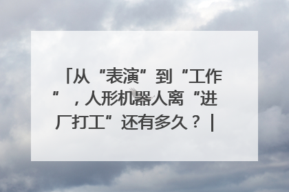 从“表演”到“工作”，人形机器人离“进厂打工”还有多久？｜机器人商业新纪元
