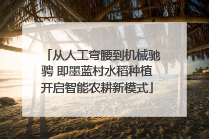 从人工弯腰到机械驰骋 即墨蓝村水稻种植开启智能农耕新模式