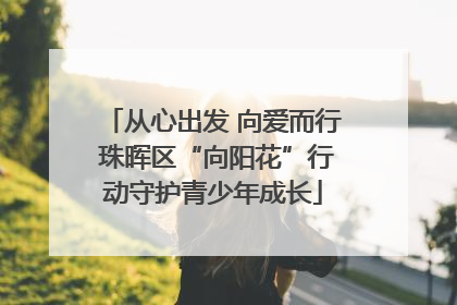 从心出发 向爱而行 珠晖区“向阳花”行动守护青少年成长