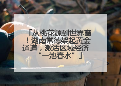 从桃花源到世界窗！湖南常德架起黄金通道，激活区域经济“一池春水”
