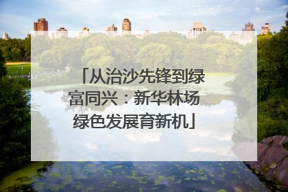 从治沙先锋到绿富同兴：新华林场绿色发展育新机