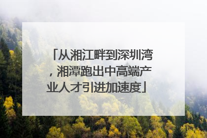 从湘江畔到深圳湾，湘潭跑出中高端产业人才引进加速度