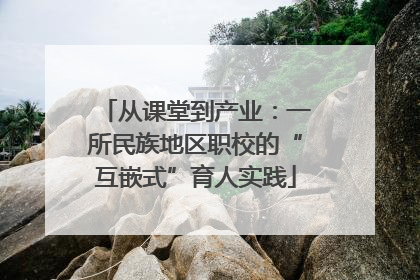 从课堂到产业：一所民族地区职校的“互嵌式”育人实践