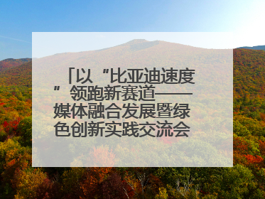 以“比亚迪速度”领跑新赛道——媒体融合发展暨绿色创新实践交流会首站走进比亚迪