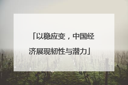 以稳应变，中国经济展现韧性与潜力