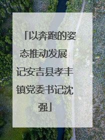 以奔跑的姿态推动发展 记安吉县孝丰镇党委书记沈强