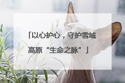 以心护心，守护雪域高原“生命之脉”