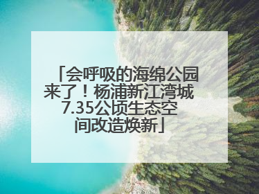 会呼吸的海绵公园来了！杨浦新江湾城7.35公顷生态空间改造焕新