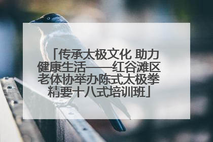 传承太极文化 助力健康生活——红谷滩区老体协举办陈式太极拳精要十八式培训班