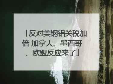 反对美钢铝关税加倍 加拿大、墨西哥、欧盟反应来了