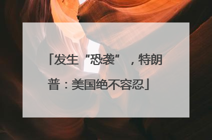 发生“恐袭”，特朗普：美国绝不容忍