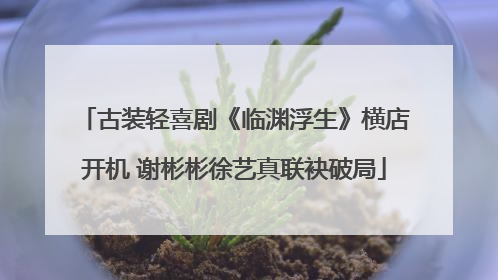 古装轻喜剧《临渊浮生》横店开机 谢彬彬徐艺真联袂破局