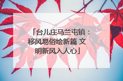 台儿庄马兰屯镇：移风易俗绘新篇 文明新风入人心