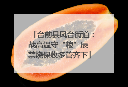 台前县凤台街道：战高温守“粮”辰 禁烧保收多管齐下