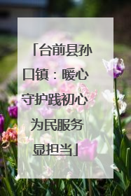 台前县孙口镇：暖心守护践初心 为民服务显担当