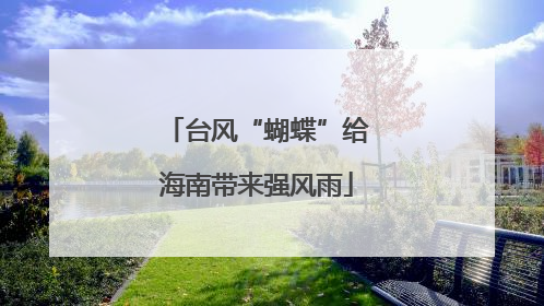 台风“蝴蝶”给海南带来强风雨