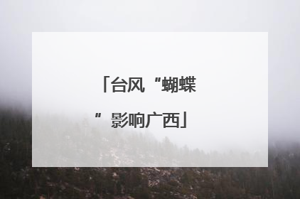 台风“蝴蝶”影响广西