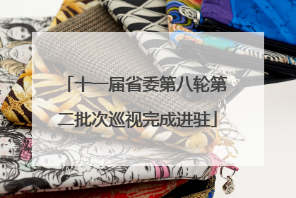 十一届省委第八轮第二批次巡视完成进驻