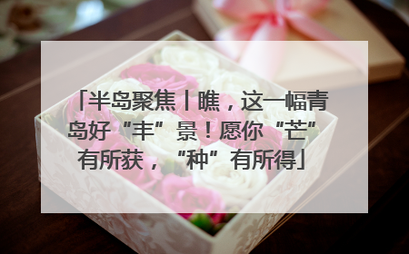半岛聚焦丨瞧，这一幅青岛好“丰”景！愿你“芒”有所获，“种”有所得