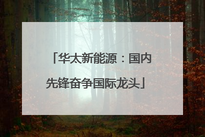 华太新能源：国内先锋奋争国际龙头