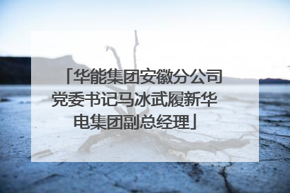 华能集团安徽分公司党委书记马冰武履新华电集团副总经理