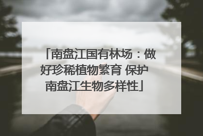 南盘江国有林场：做好珍稀植物繁育 保护南盘江生物多样性