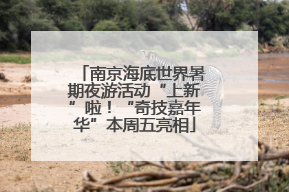 南京海底世界暑期夜游活动“上新”啦！“奇技嘉年华”本周五亮相