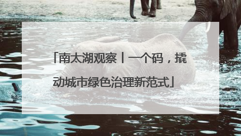 南太湖观察丨一个码，撬动城市绿色治理新范式