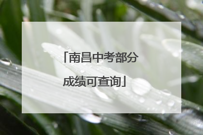 南昌中考部分成绩可查询