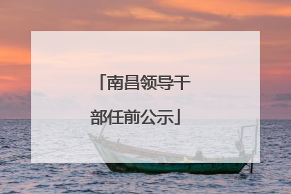 南昌领导干部任前公示