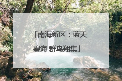 南海新区：蓝天碧海 群鸟翔集