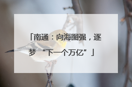南通：向海图强，逐梦 “下一个万亿”
