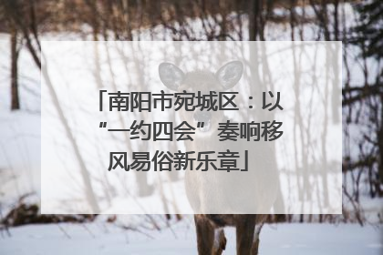 南阳市宛城区：以“一约四会”奏响移风易俗新乐章