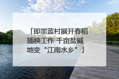 即墨蓝村展开春稻插秧工作 千亩盐碱地变“江南水乡”