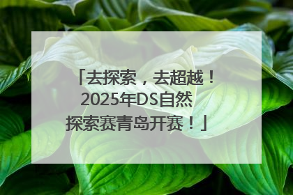 去探索，去超越！2025年DS自然探索赛青岛开赛！