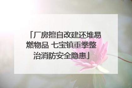 厂房擅自改建还堆易燃物品 七宝镇重拳整治消防安全隐患