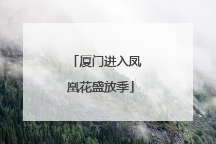 厦门进入凤凰花盛放季