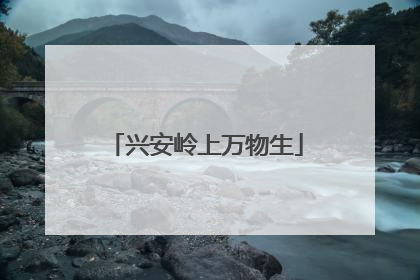 兴安岭上万物生