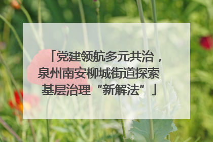 党建领航多元共治，泉州南安柳城街道探索基层治理“新解法”