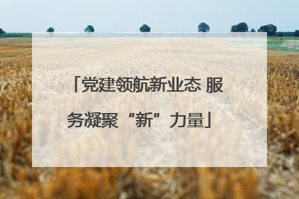 党建领航新业态 服务凝聚“新”力量