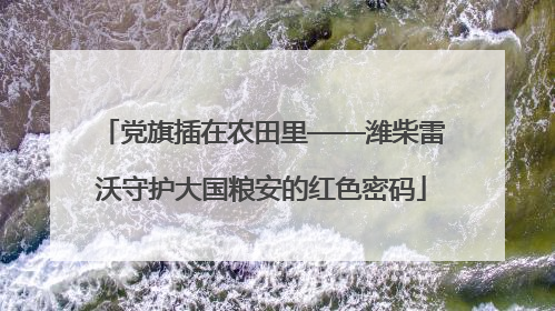 党旗插在农田里——潍柴雷沃守护大国粮安的红色密码