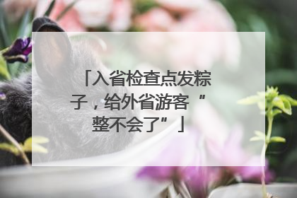 入省检查点发粽子，给外省游客“整不会了”