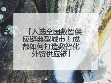 入选全国数智供应链典型城市！成都如何打造数智化外贸供应链