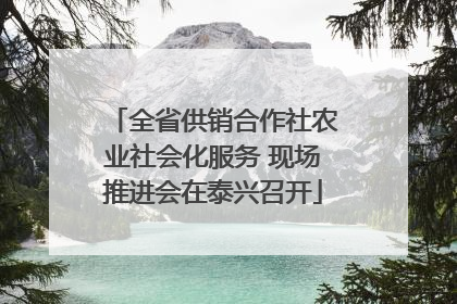 全省供销合作社农业社会化服务 现场推进会在泰兴召开