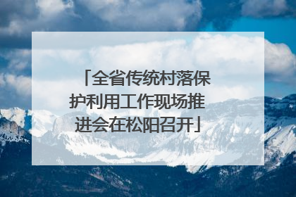 全省传统村落保护利用工作现场推进会在松阳召开