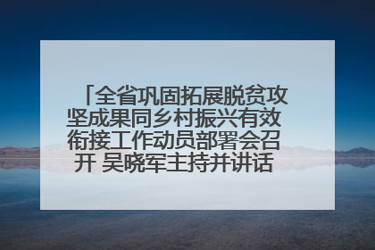全省巩固拓展脱贫攻坚成果同乡村振兴有效衔接工作动员部署会召开 吴晓军主持并讲话 罗东川作安排部署