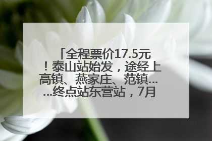 全程票价17.5元！泰山站始发，途经上高镇、燕家庄、范镇……终点站东营站，7月1日开通！